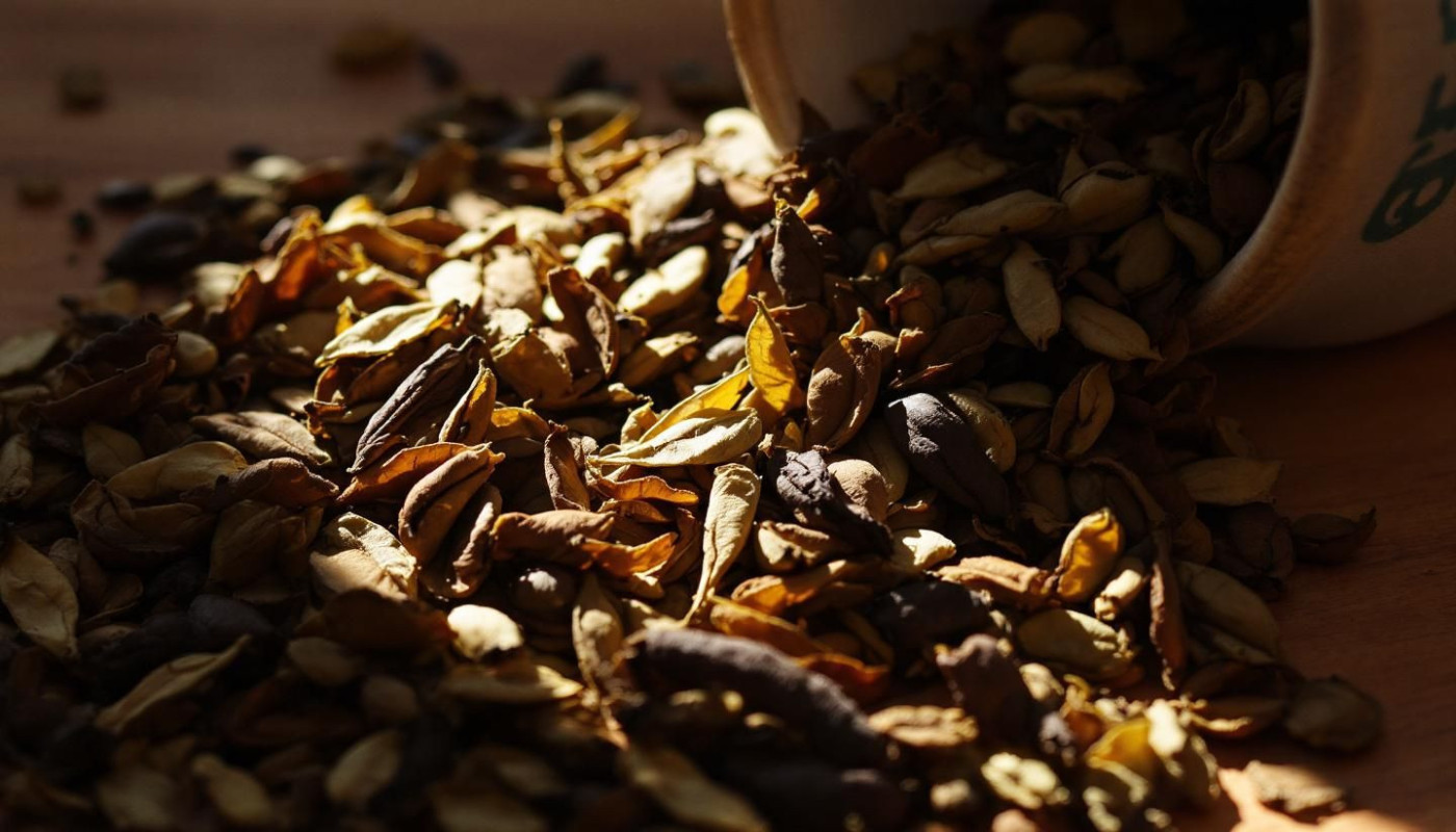 Comment choisir entre thé en vrac ou en sachets ?